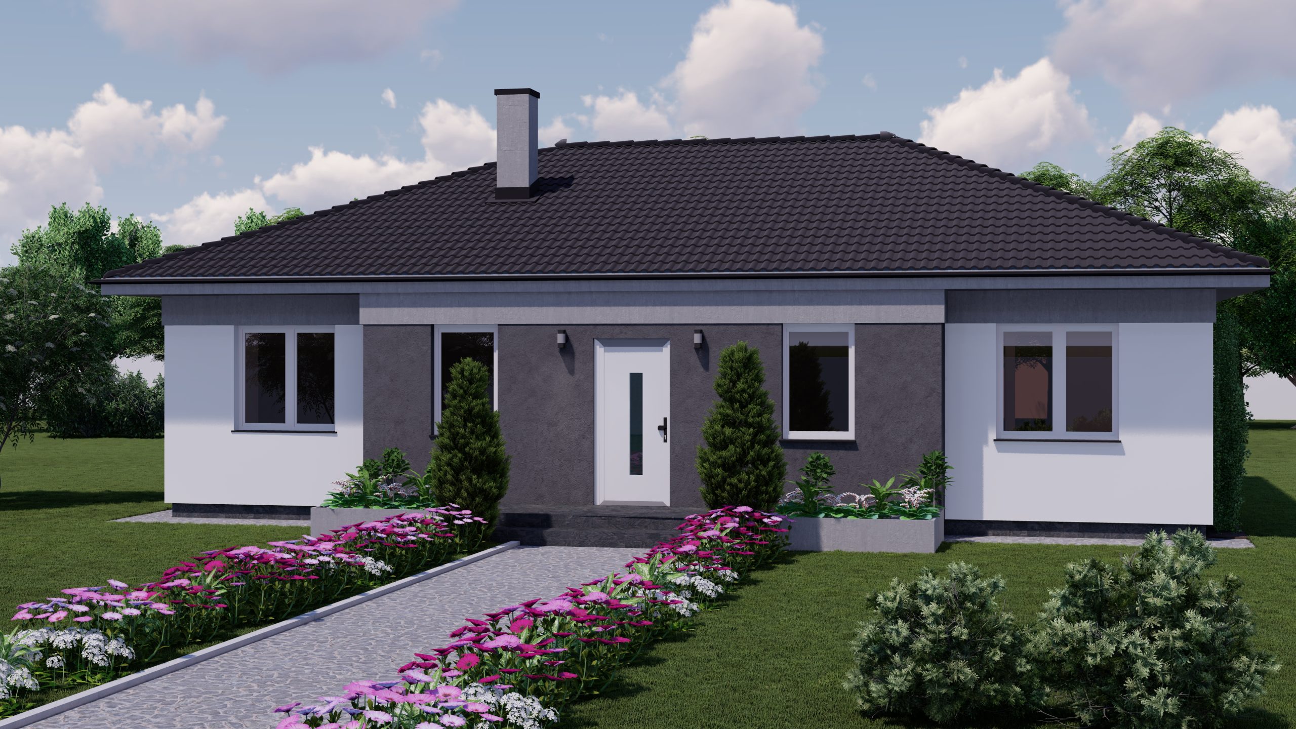 Описание изображения