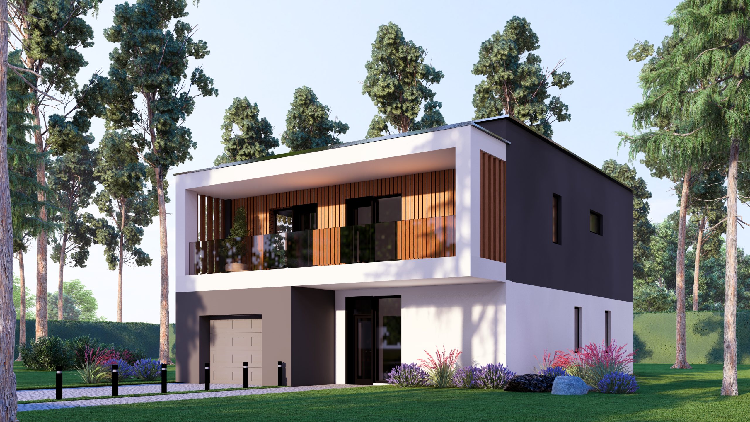 Описание изображения