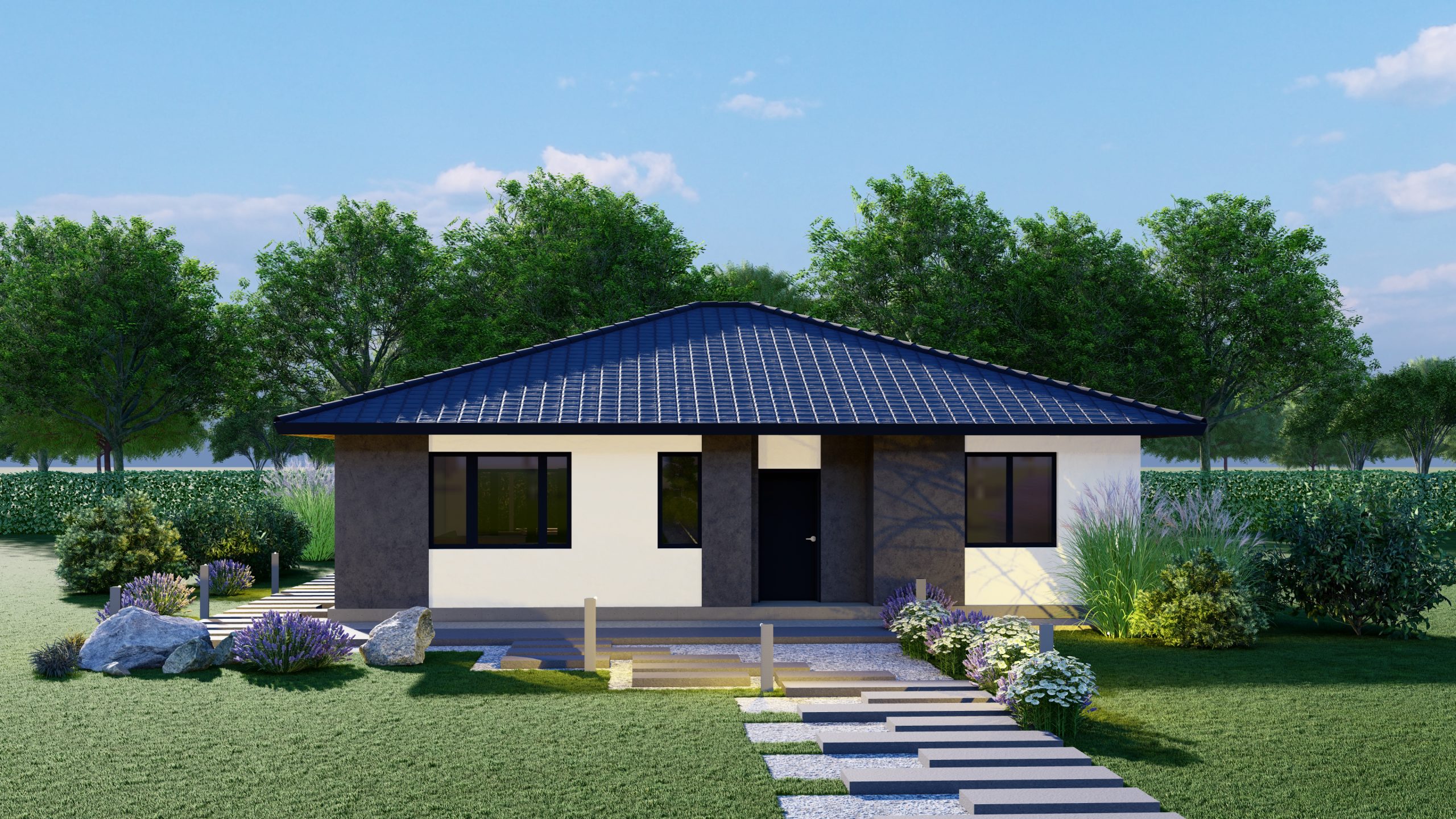 Описание изображения